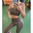 Load image into Gallery viewer, Leopard Sportswear (2 Pieces Set)